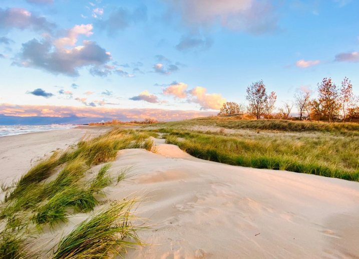 The Indiana Dunes, Ancient Hills of Sand on Lake Michigan