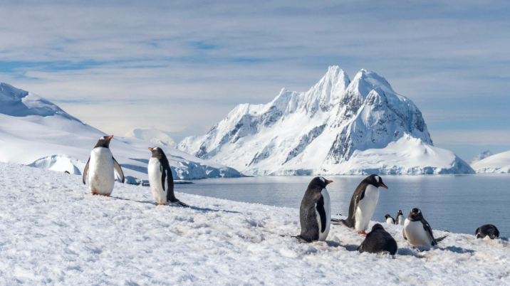Antarctica