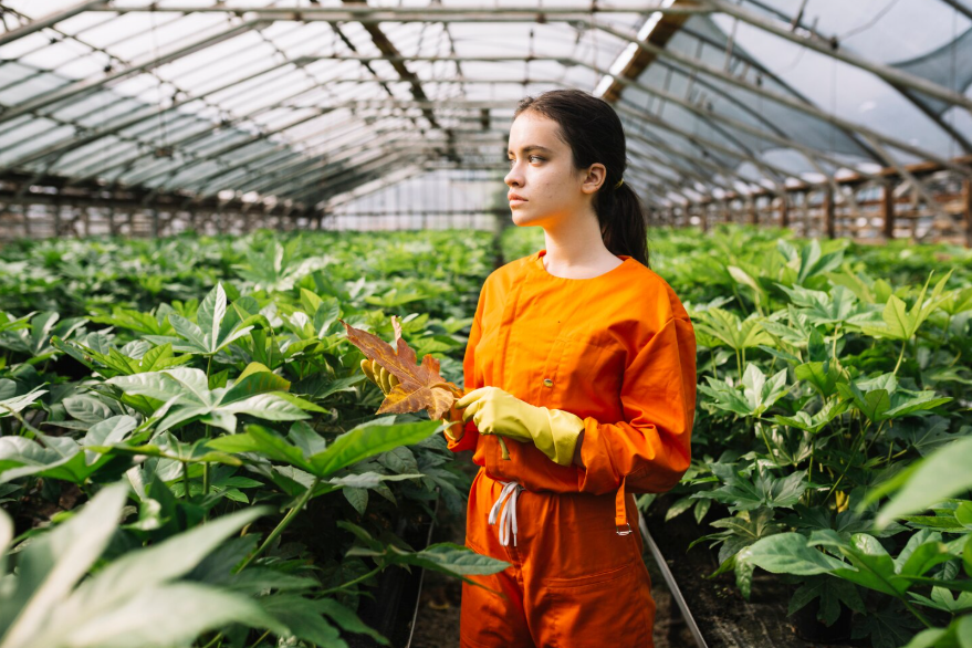 Modern Agriculture Safety Issues in Developing Countries: Protecting the Backbone of Global Food Production