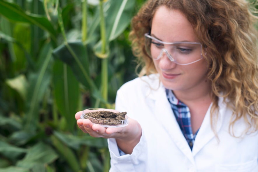 Government Monitoring of Genetically Modified Crops: A Comprehensive Guide to Safety, Oversight, and Global Standards Government Monitoring of Genetically Modified Crops: A Comprehensive Guide to Safety, Oversight, and Global Standards