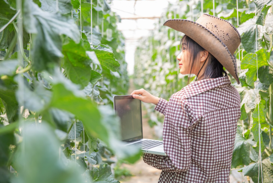 Technology-Based Solutions for Crop Pest Control: A New Era in Agricultural Protection