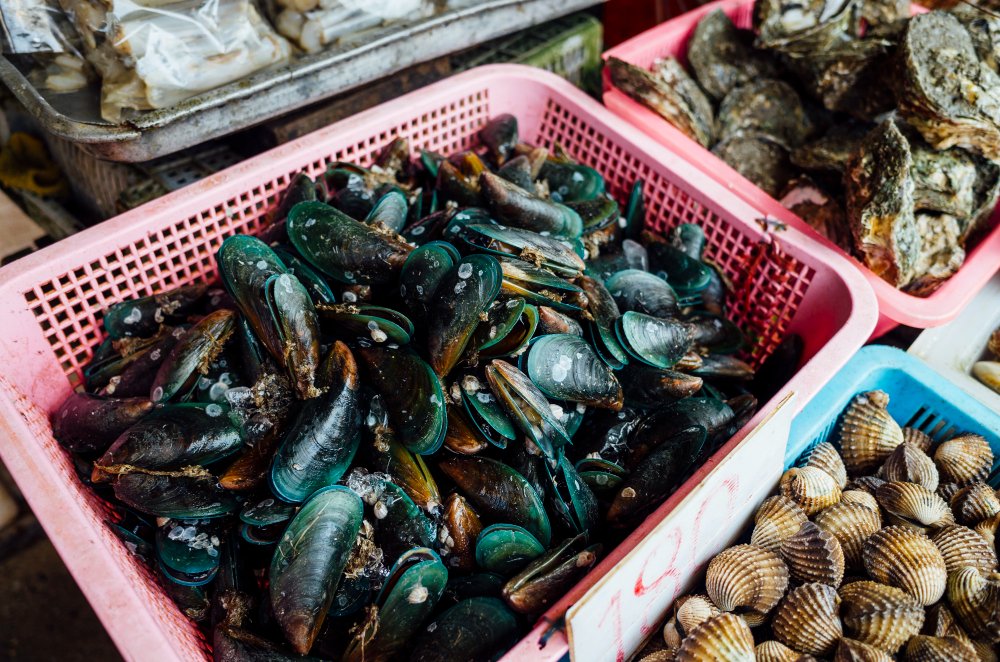Decoding the Catch: How Blockchain Tracking Technology is Preventing Seafood Fraud in Local Markets