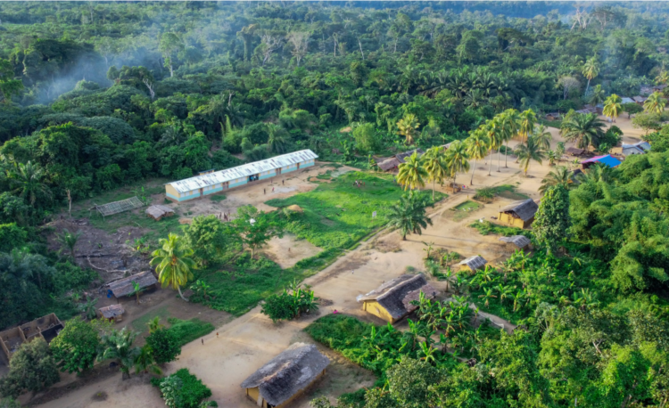 Cultivating Tomorrow: The Future of Sustainable Farming for Smallholders Cultivating Tomorrow: The Future of Sustainable Farming for Smallholders