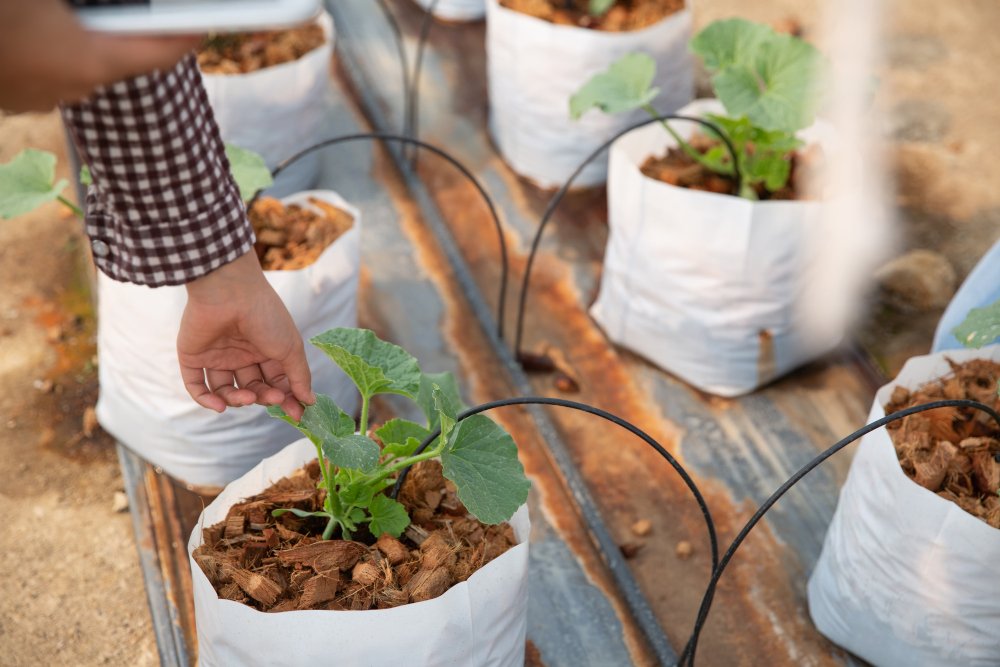 How to build a gravity-fed drip irrigation system for small acreage homesteads