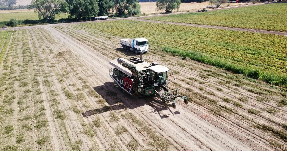 Precision Farming for Small Landowners: Unlock Your Farm’s Full Potential Precision Farming for Small Landowners: Unlock Your Farm’s Full Potential