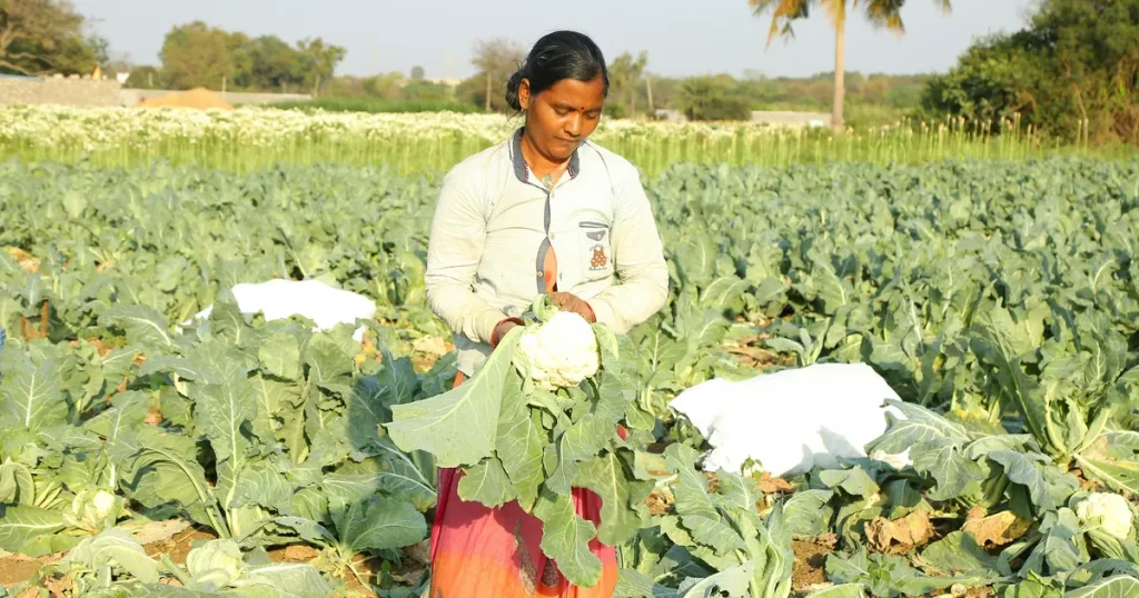 Chemical-Free Crop Disease Prevention: Grow Healthy Plants Naturally Chemical-Free Crop Disease Prevention: Grow Healthy Plants Naturally