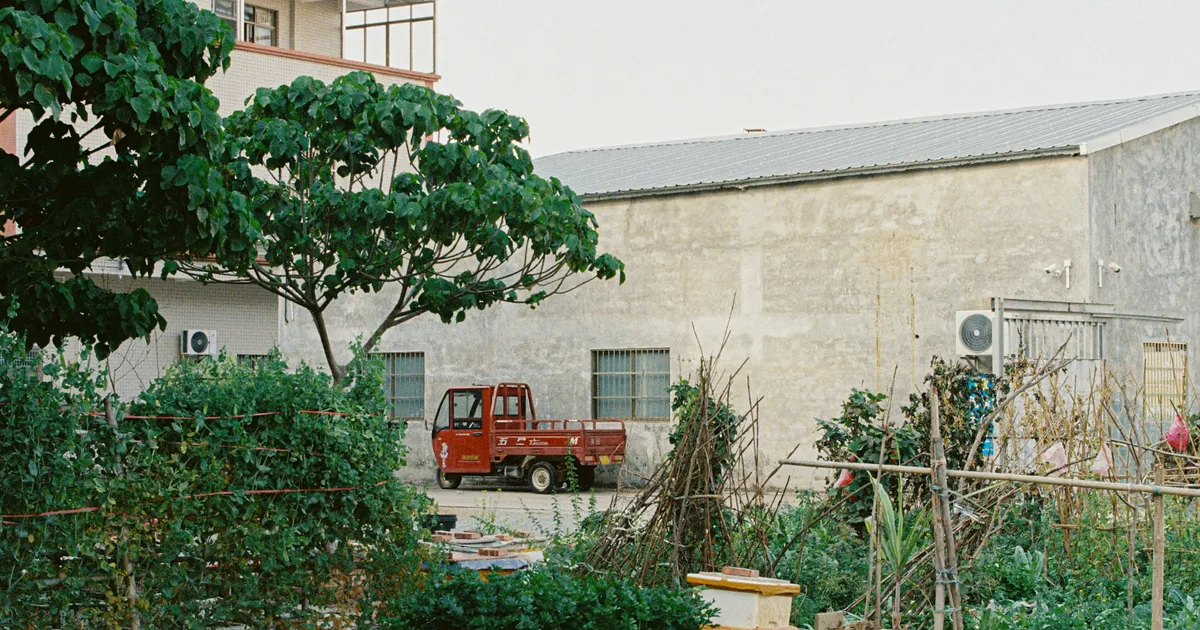 Urban Sustainable Food Production Methods for a Greener Future