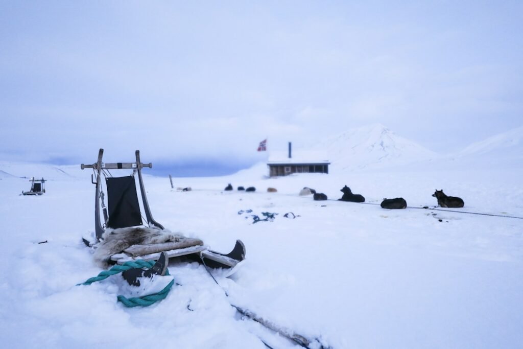 Arctic Winter Expedition Preparation: Cold Weather Layering Systems, Hypothermia Prevention, and Polar Camp Craft Arctic Winter Expedition Preparation: Cold Weather Layering Systems, Hypothermia Prevention, and Polar Camp Craft