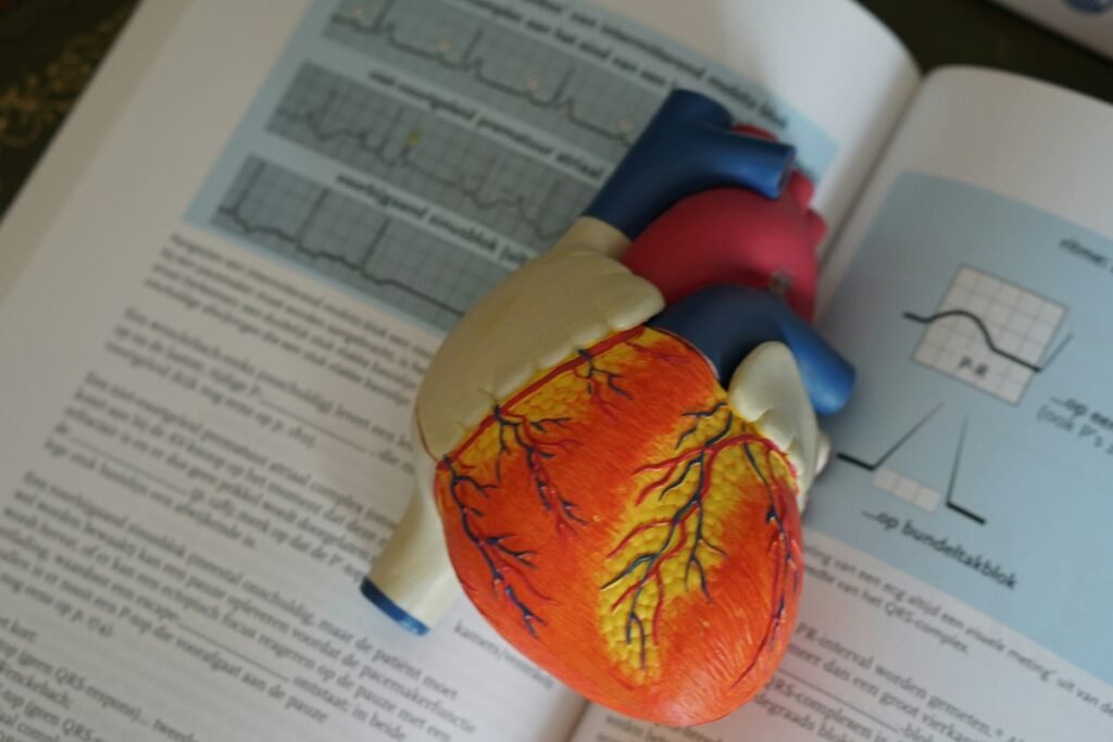 Cardiovascular Endothelial Function Optimization: Nitric Oxide Pathways, Resistance Training, and Arterial Elasticity Cardiovascular Endothelial Function Optimization: Nitric Oxide Pathways, Resistance Training, and Arterial Elasticity