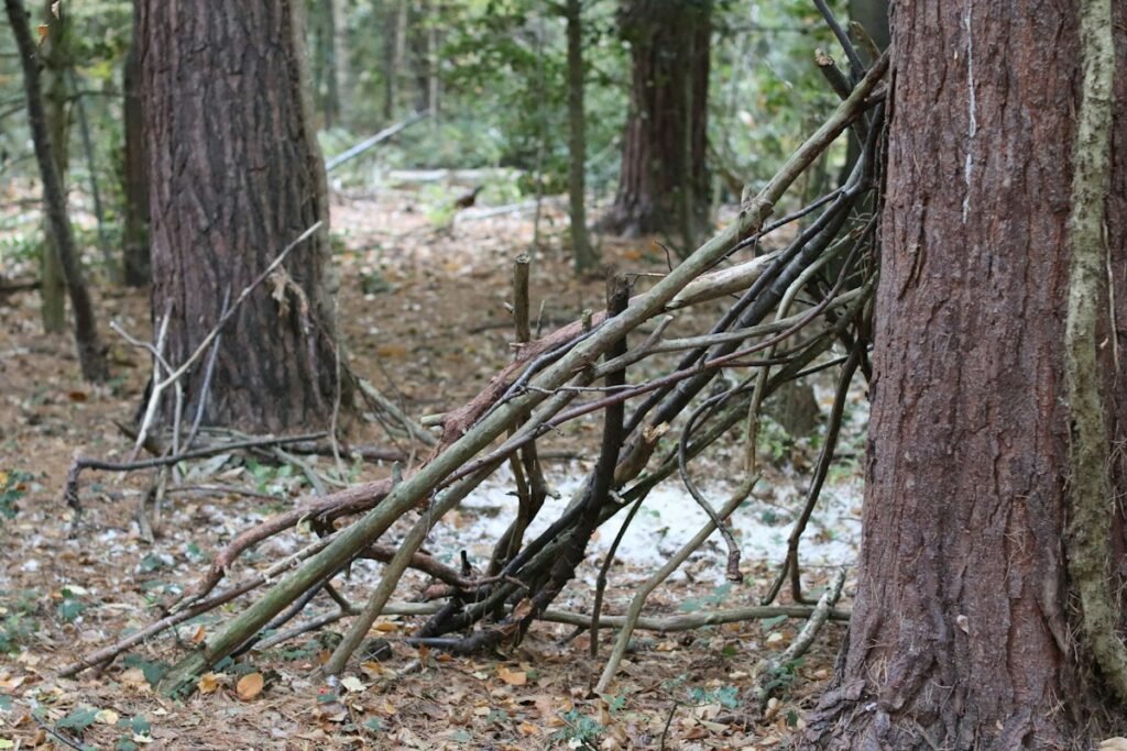 Deep Forest Off-Grid Exploration Tactics: Bushcraft Shelter Engineering, Foraging Safety, and Route Tracking