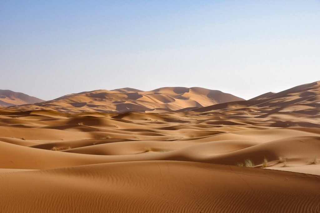 Desert Wilderness Survival Protocols: Thermal Regulation, Arid Hydration Physiology, and Emergency Bivouacking Desert Wilderness Survival Protocols: Thermal Regulation, Arid Hydration Physiology, and Emergency Bivouacking