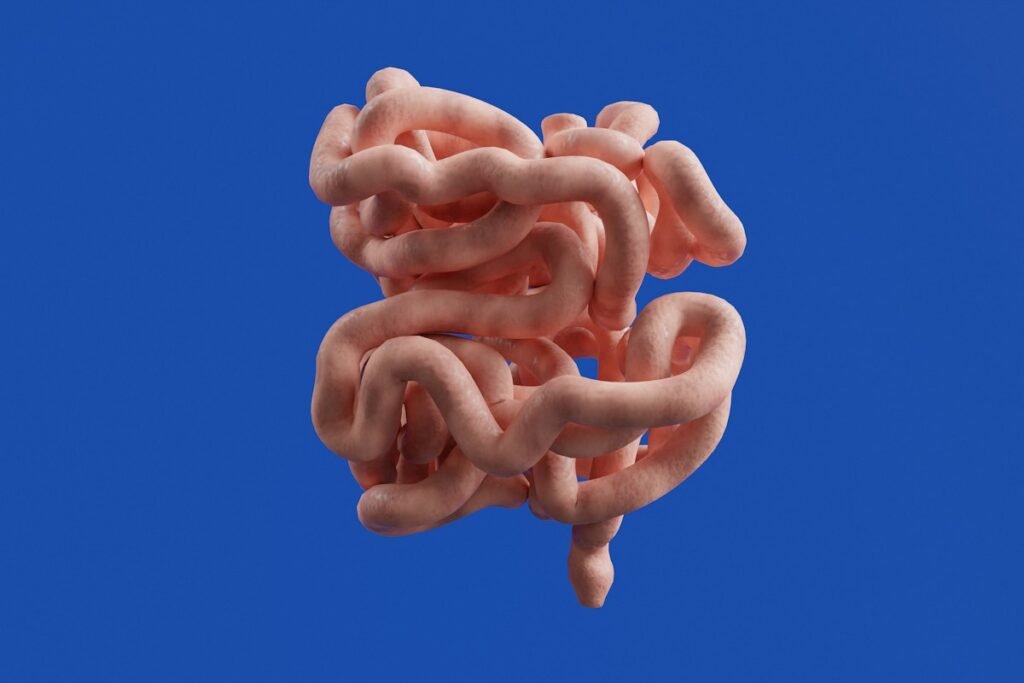 Gut-Brain Microbiome Axis Regulation Through Fermented Nutrition: Enteric Nervous System and Neurotransmitter Health