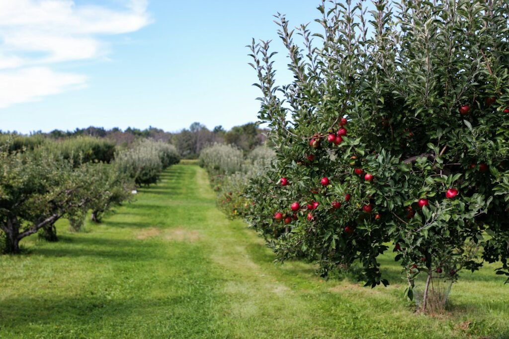 Integrated Pest Management Strategies for Organic Fruit Orchards: Biological Controls and Habitat Manipulation Integrated Pest Management Strategies for Organic Fruit Orchards: Biological Controls and Habitat Manipulation