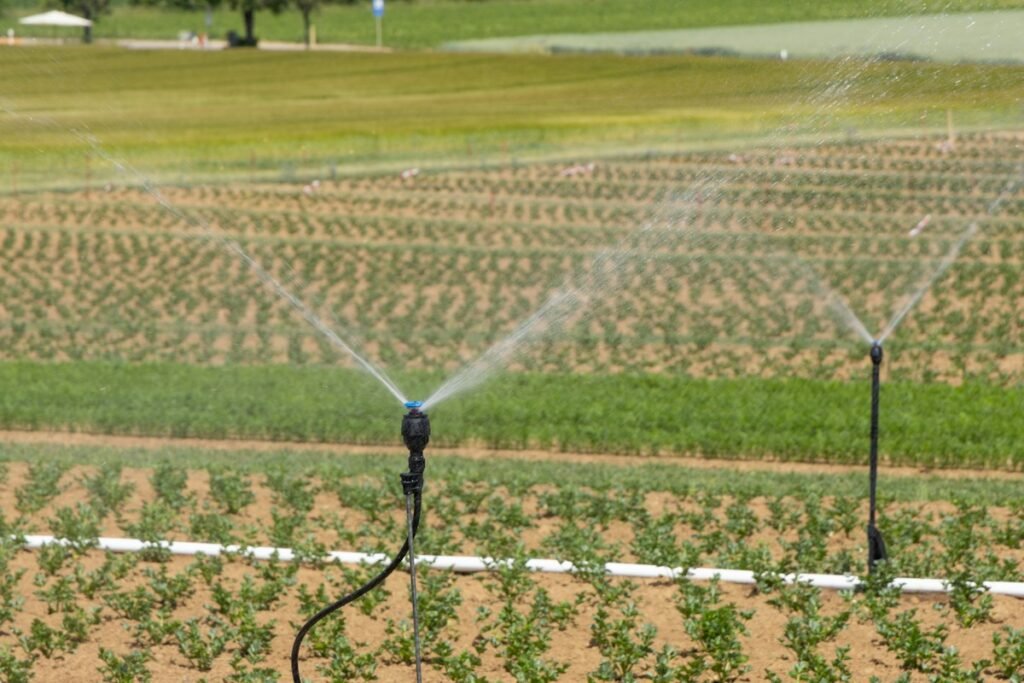Precision Drip Irrigation Protocols in Arid Zone Agriculture: Sensor Automation and Salinity Management Precision Drip Irrigation Protocols in Arid Zone Agriculture: Sensor Automation and Salinity Management