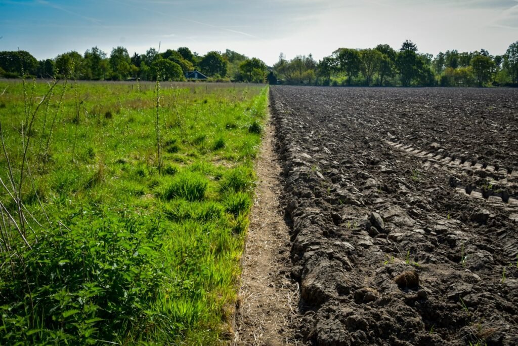 Regenerative Agriculture Practices for Restoring Degraded Farmland: Soil Biology and Carbon Sequestration Guide