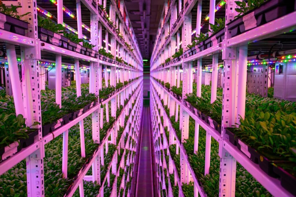 Vertical Farming Environmental Control Systems: Managing Vapor Pressure Deficit, LED Spectra, and HVAC Loads Vertical Farming Environmental Control Systems: Managing Vapor Pressure Deficit, LED Spectra, and HVAC Loads
